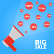 Announcement megaphone to big sale discount vector image