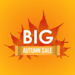 Big Autumn sale poster vector promotion banner