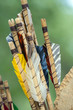 Close up of ancient wood arrows.