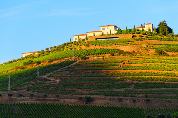 river Douro valley, Portugal