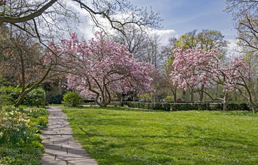 Poster - Frühling