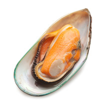 Green Mussel On White Background