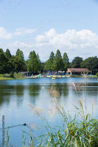 ボートに乗れる池 昭和記念公園 Buy This Stock Photo And Explore Similar Images At Adobe Stock Adobe Stock ボートに乗れる池 昭和記念公園 Buy This Stock Photo And Explore Similar Images At Adobe Stock Adobe Stock