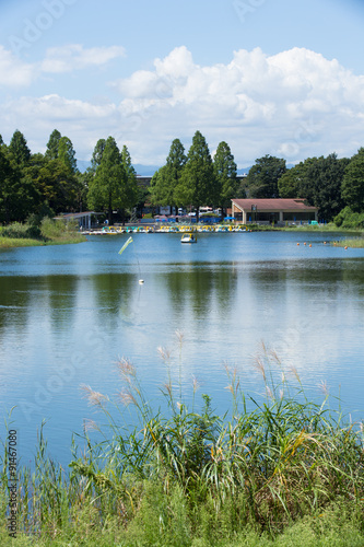 ボートに乗れる池 昭和記念公園 Buy This Stock Photo And Explore Similar Images At Adobe Stock Adobe Stock ボートに乗れる池 昭和記念公園 Buy This Stock Photo And Explore Similar Images At Adobe Stock Adobe Stock