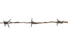 Rusty Barbed Wire On White Background