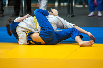 Wall Mural - Girls involved in Judo