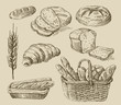 bread doodle