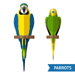 Sticker - Sitting Parrots Set