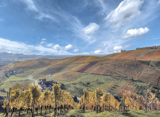 Wall Mural - Schwarzwald Weinberge im Herbst