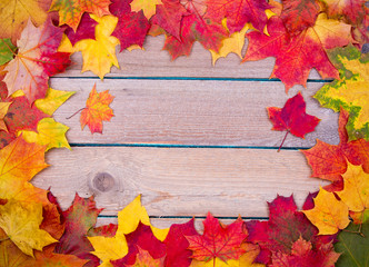 Wall Mural - autumn maple leaves background