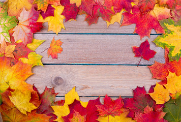 Wall Mural - autumn maple leaves background