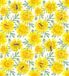 Seamless pattern of yellow chamomiles. Decoration with blooming flowers. Dark background. Watercolor hand drawing illustration