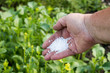 © Koirill - chemical fertilizer on farmer hand over green background
