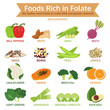 foods rich in folate, vegetable and fruit icon vector illustrati