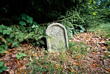 Tombstone On Grave Of Pet Near The Sychrov Castle