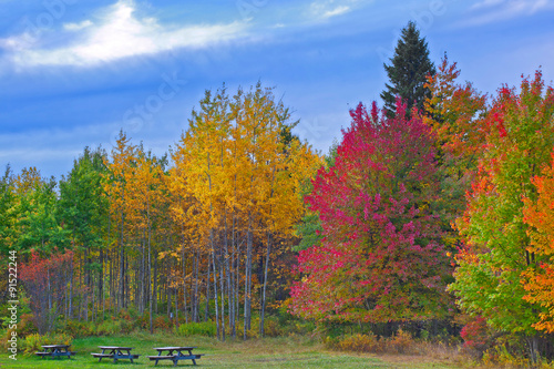 Nature Landscape Trees Changing Colors During Autumn In A Forest Park With Benches Rural Pennsylvania Poconos Mountains Buy This Stock Photo And Explore Similar Images At Adobe Stock Adobe Stock