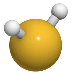 Sticker - Hydrogen sulfide (H2S) molecule. Toxic gas.