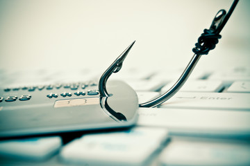 Wall Mural - credit card phishing - piles of credit cards with a fish hook on computer keyboard