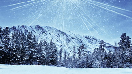 Wall Mural - wintry forest and magic snowfall seamless loop