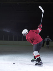 Wall Mural - ice hockey player in action