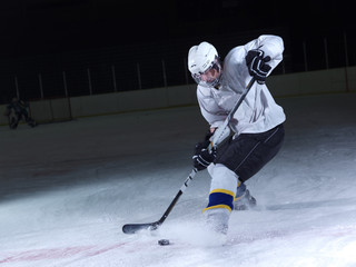 Wall Mural - ice hockey player in action