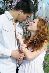 Fototapete - beautiful young couple in love among the flowering trees