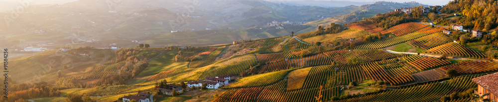 Panoramic view of vineyards of Piedmont in autumn - obrazy, fototapety, plakaty 