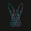 Fluorescent rabbit on black background, geometric lines, line art, eps 10