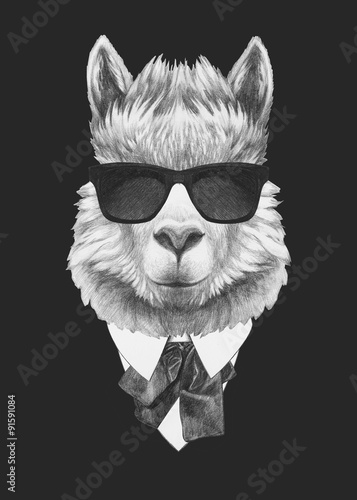 Fotografía Portrait of Lama in suit. Hand drawn illustration.
