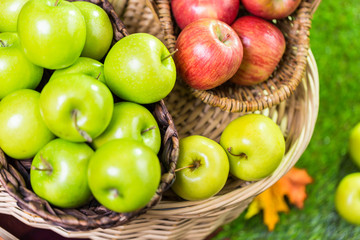 Wall Mural - Organic apples