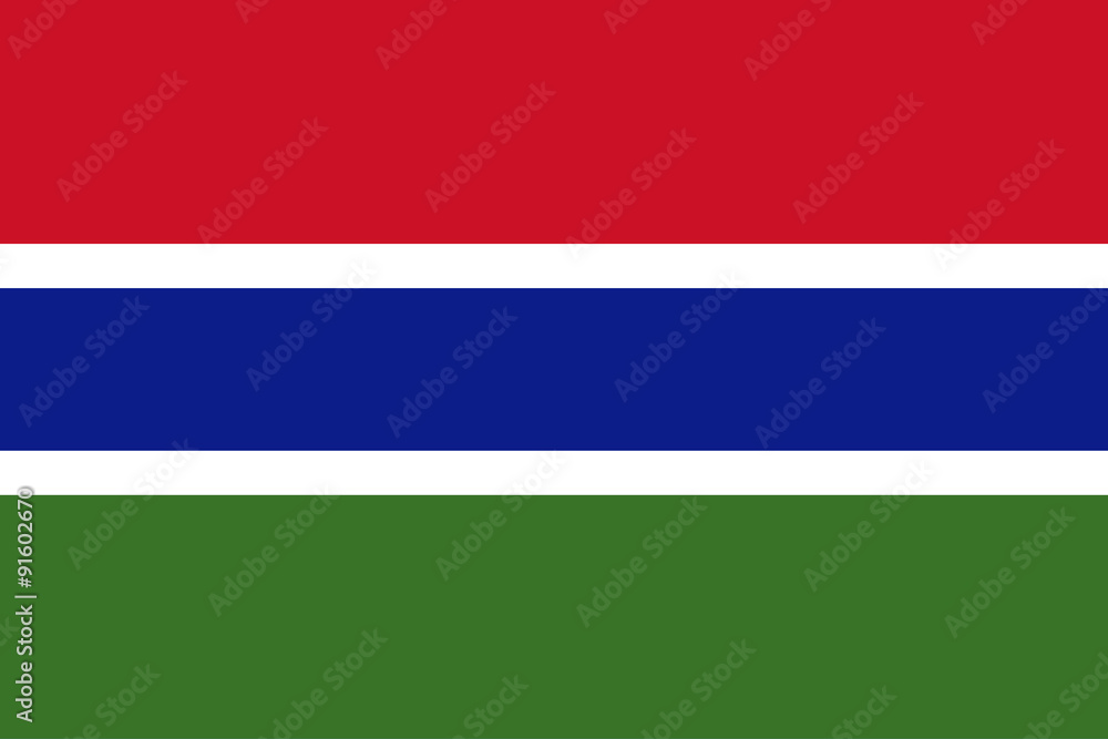 Flag of Gambia - obrazy, fototapety, plakaty 