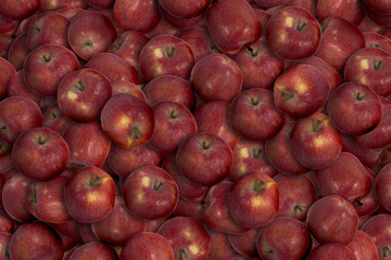 pile of red apples