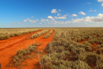 Wall Mural - Across the Nullarbor Plain