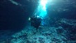 Unterswasserlandschaft bei St. Johns