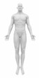 © CLIPAREA.com - MAle ready to muscle layer from my gallery - Muscles anatomy map