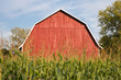 Red Barn Behind Tall Corn