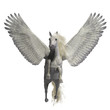 White Pegasus on White - Pegasus is a legendary divine winged stallion and is the best known creature of Greek mythology.