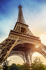 Wall Mural - eiffel tower