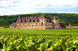 Typical French vineyard and chateau
