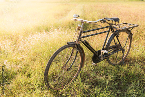 Obraz w ramie Vintage Bicycle with Summer grassfield