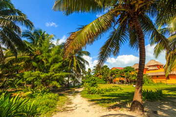 vacation in Caye-Caulker, Belize