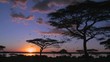 Birds fly at sunset near acacia trees on the savannah of Africa.