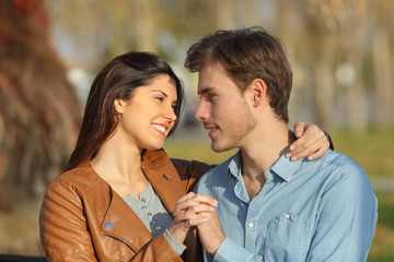 Wall Mural - Couple hugging and dating in a park looking each other