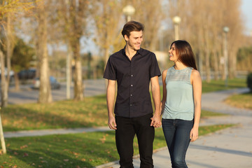 Wall Mural - Couple taking a walk in a park