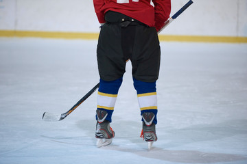 Wall Mural - ice hockey player in action