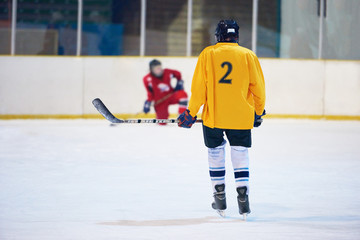 Wall Mural - ice hockey player in action