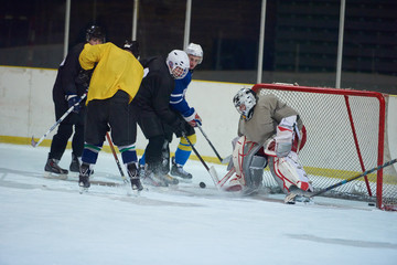 Wall Mural - ice hockey goalkeeper