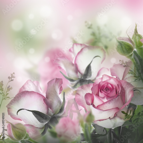 Fototapeta na wymiar Bouquet of fresh roses, flower bright background.