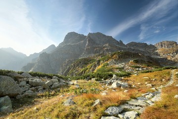 Wall Mural - Trail in the valley leading to the peak in the Carpathian Mountains