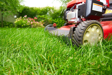 Wall Mural - Lawn mower.